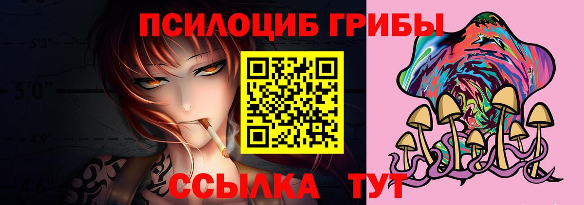 Псилоцибиновые грибы Cubensis Чебоксары